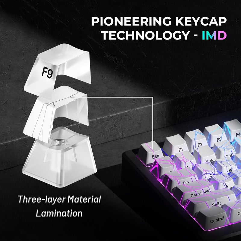 HITIME x XVX Shine Through Keycaps w/IMD Tech, Custom Spider Web Keycaps 60 75 100 Percent, White Key Cap Set Lines Backlit, OEM Profile Side Printed for Keyboards - Image 3